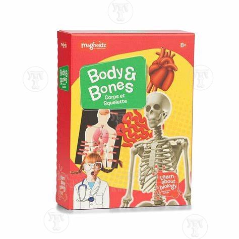 Bones and Body Kit