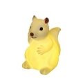Squirrel Nightlight