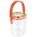 Garden Bug Keeper Box