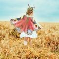 Butterfly Wings and Headband